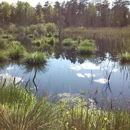 Am Teupitzsee * تويبيتز