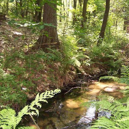 شقة Am Teupitzsee *